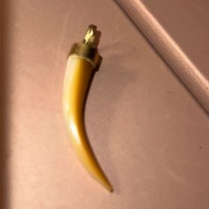 Antique hand carved mother of pearl tigers tooth